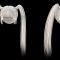 3D Wireframe Pigtail Models Against Black Background With Detailed Hair Strand Design