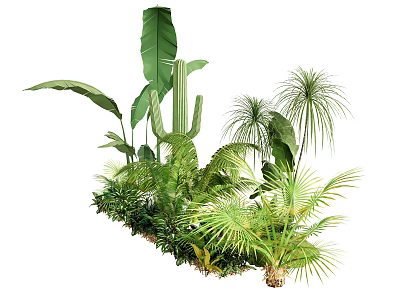 Tropical Arbor Collection Featuring Palm Trees Banana Leaves Cactus And Lush Ferns 3d model