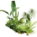 Tropical Arbor Collection Featuring Palm Trees Banana Leaves Cactus And Lush Ferns