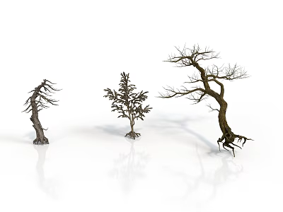 Three Dead Trees with Various Shapes on White Background with Reflections 3d model