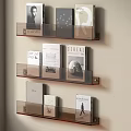 Modern Transparent Wall Mounted Three Tiered Shelves For Book Display Storage 3d model