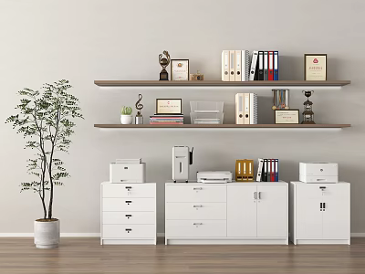 White File Cabinets in Modern Office Space with Shelves Books Trophy and Green Plant 3d model