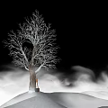 Leafless Arbor Standing On Snowy Ground Against Black Background With Mist 3d model