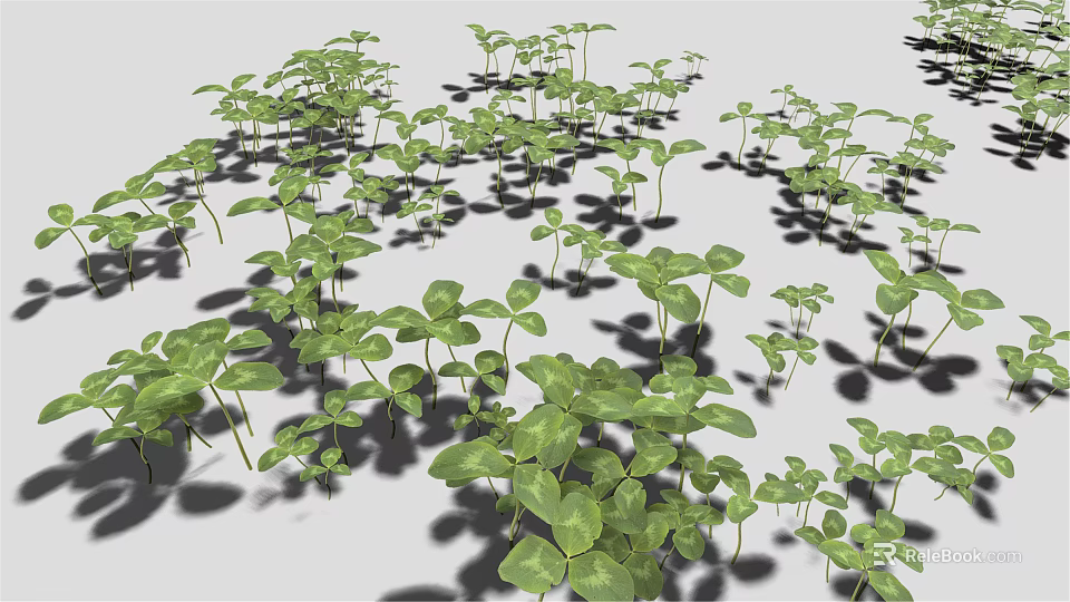 Green Clover Shaped Leaf Seedlings Densely Growing With Shadows On Gray Background 3d model 