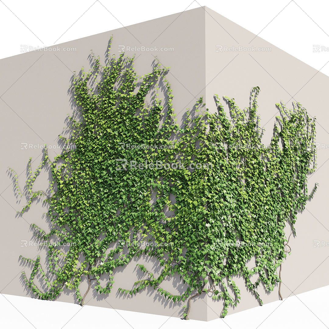 Modern Vine Corner Vine Man 3d model