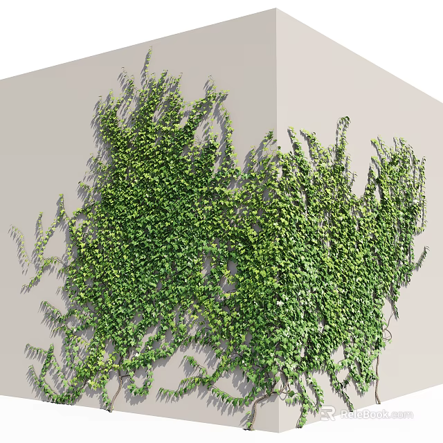 Lush Green Vines Covering Gray Wall With Dense Foliage And Natural Growth 3d model 