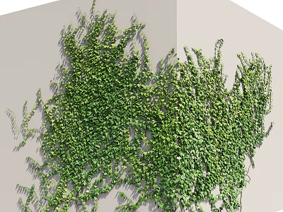 Lush Green Vines Covering Gray Wall With Dense Foliage And Natural Growth 3d model