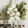 Transparent Vases With White Pompom Flowers Green Leaves And Wheat Like Plants In Light Background