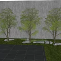 Lush Green Arbor Trees Against Gray Wall With Stone Tiles Ground Grass And Stones 3d model