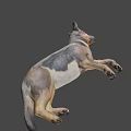 Realistic 3D Rendered Brown White Dog In Dynamic Running Pose 3d model