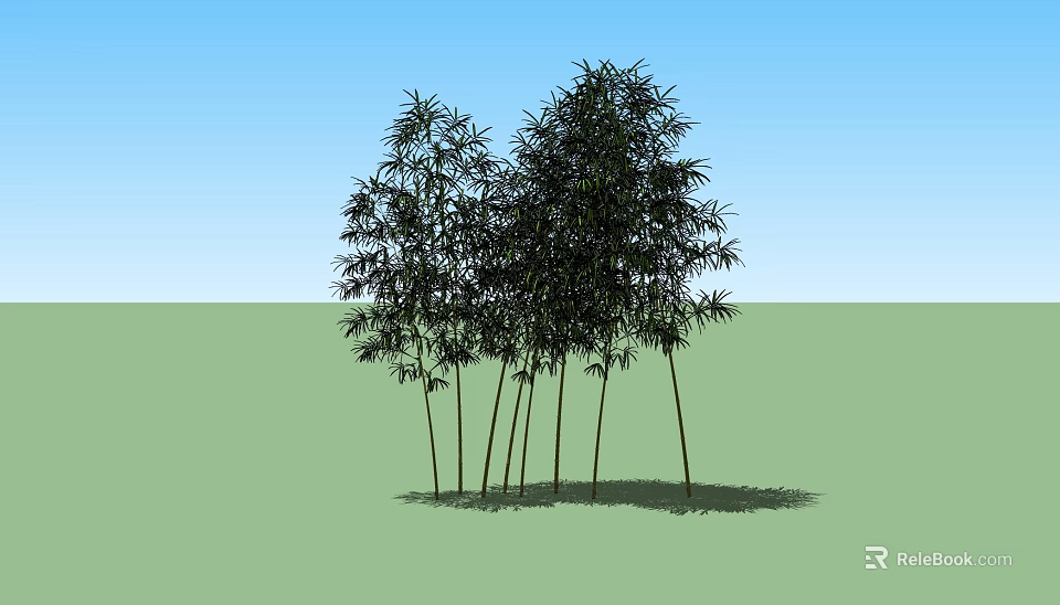 Dense Green Bamboo Grove Standing In Open Field Under Clear Blue Sky 3d model 