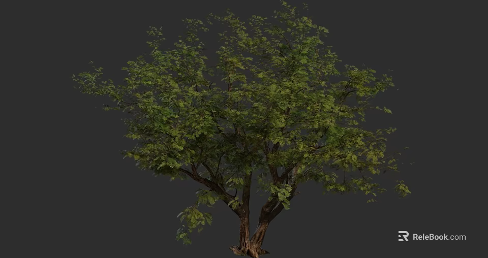 Tall Arbor with Lush Green Foliage and Spreading Branches in Natural Scene 3d model 
