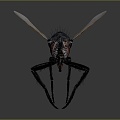 Modern fly insect cartoon fly fly animation fly 3d model