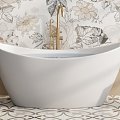 Bathtub Toilet 3d model