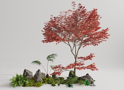 Tree Landscape Tree Red Maple Plant Pile 3d model