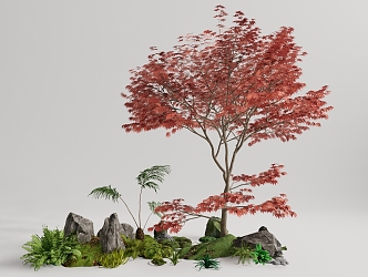 Tree Landscape Tree Red Maple Plant Pile 3d model