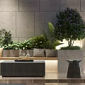 Modern Architectural Courtyard Garden Landscape With Stone Path Green Plants Water Feature And Lighting