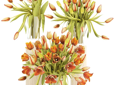 Vibrant Orange Red Tulips Arranged in Glass Vase for Home Decor 3d model