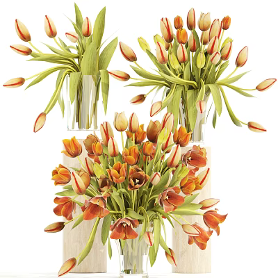 Vibrant Orange Red Tulips Arranged in Glass Vase for Home Decor 3d model