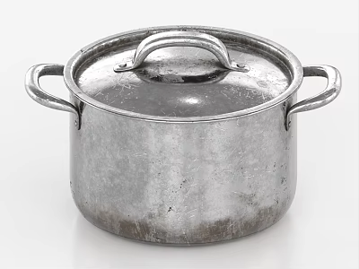 Sturdy Silver Metal Cooking Pot With Lid And Two Handles For Kitchen Cookware 3d model