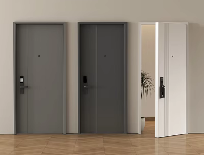 Modern Security Doors with Smart Lock Design Gray and White Home Safety Interior 3d model