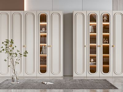 Modern Bookcase Locker model