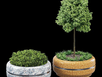 Potted Bonsai Plants In Textured And Brown Ringed Pots With Green Shrub And Small Tree 3d model