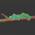 Green Caterpillar Lying On Natural Branch With White Accents And Details