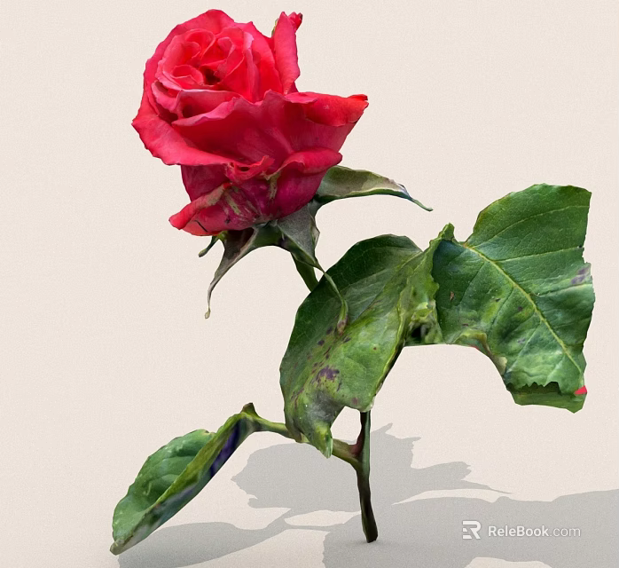 Gorgeous Red Rose With Lush Green Leaves And Vibrant Petals 3d model 