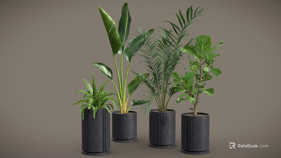 Various Types Of Green Potted Plants In Black Cylindrical Pots On Grey Background 3d model 