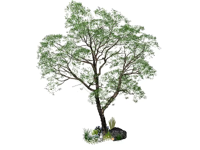 Tall Arbor with Lush Green Leaves and Strong Trunk Surrounded by Small Plants and Rocks 3d model