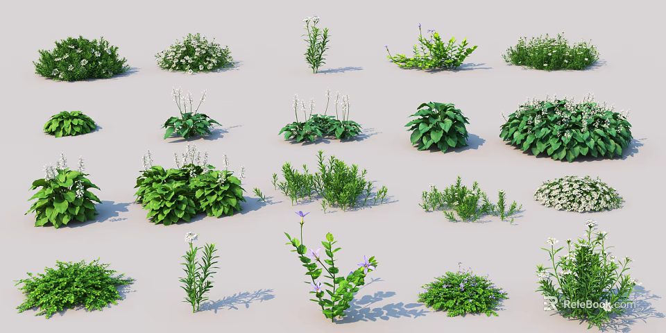 Diverse Garden Shrubs Collection With Lush Foliage And Colorful Blooms 3d model 