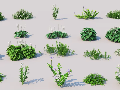 Diverse Garden Shrubs Collection With Lush Foliage And Colorful Blooms 3d model