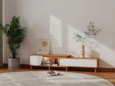 Wooden White TV Stand With Drawers Round Rug And Wall Painting Near Large Green Plant 3d model