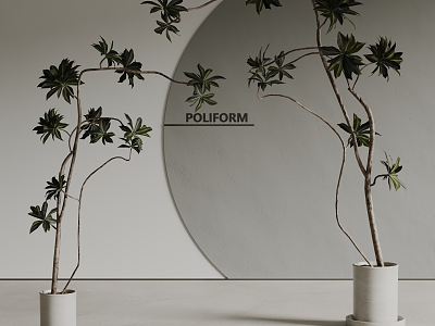 poliform modern bonsai model