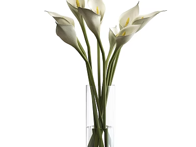White Calla Lilies Arranged in Transparent Glass Vase with Green Stems 3d model