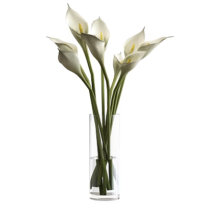 White Calla Lilies Arranged in Transparent Glass Vase with Green Stems 3d model