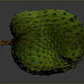 Fresh Green Spiky Tropical Fruit Ripe Exotic Soursop with Textured Skin