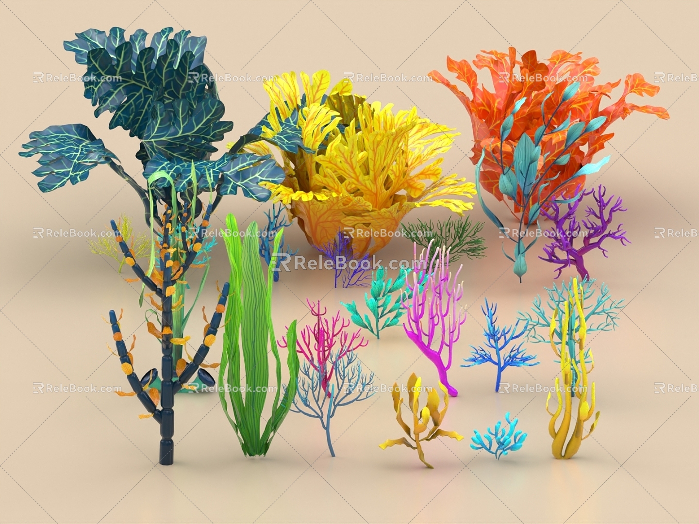 seaweed seaweed seaweed seaweed seaweed seaweed seaweed seaweed bottom plant 3d model