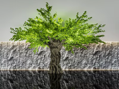 Large Green Tree With Thick Trunk And Lush Leaves Against Stone Wall With Water Reflection 3d model