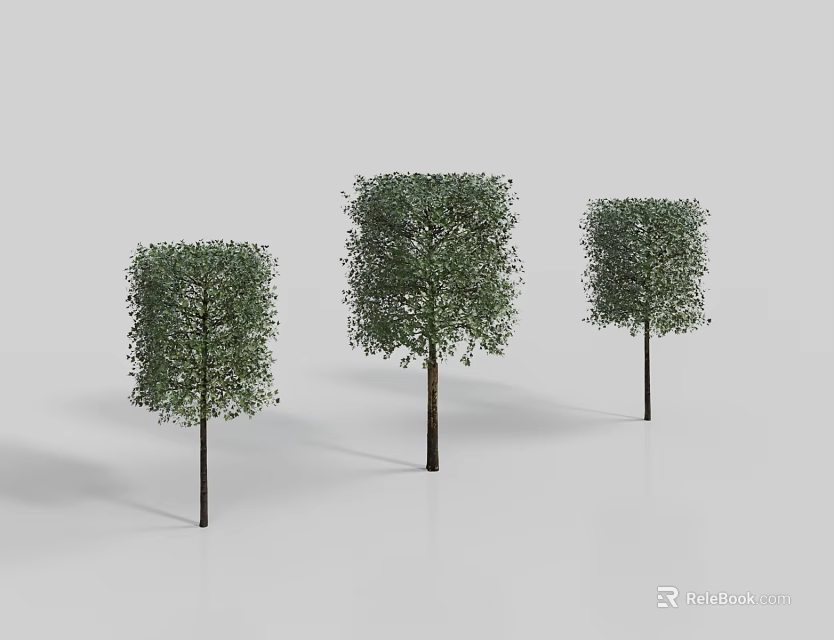 Three Trees Featuring Square Canopies and Slender Trunks on White Background 3d model