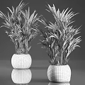 Garden Decor With Green Plants In Woven Pots For Home Garden Natural Accent
