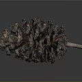 Natural Pine Cone With Detailed Brown Texture On Dark Reflective Background