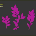 Three Fresh Green Leaf Plants With Slender Stems On Gray Background