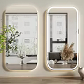 Modern Lighted Oval Mirrors in Living Room with Green Plant Cat Figurine and Reflected Sofa