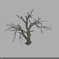 Rough Wooden Stone Dry Tree Trunk With Leafless Branches And Natural Texture 3d model