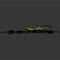 Black And Yellow Spider With Long Legs And Distinct Body Patterns On Gray Background
