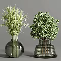 Various Textured Glass Vases Arranged With White Small Flowers Green Leafy Plants And Pampas Grass