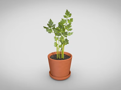 Natural Decorative Ornament Set with Terracotta Pot and Fresh Green Plant Leaves 3d model