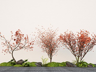 landscape tree flowering tree modeling tree 3d model